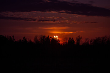 A beautiful sun rises over the treetops. Springtime scenery of Northern Europe.