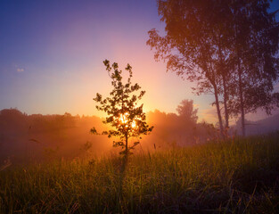 Obraz premium Beautiful spring sunreise landscape with trees. Seasonal scenery of Northern Europe.
