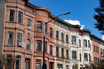 Row of Colorful Old Brownstone Homes in Prospect Heights Brooklyn - obrazy, fototapety, plakaty