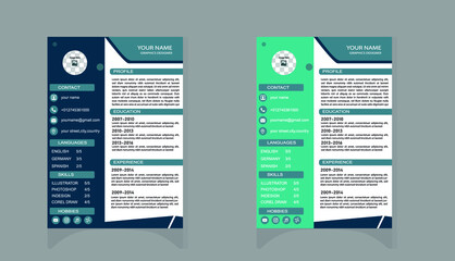 Professional cv design