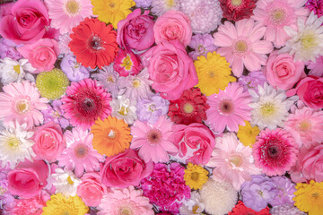 flowers background