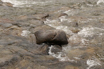 Rock in the river rapids