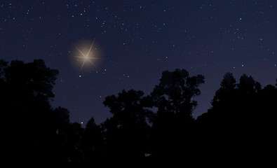 Bright star in the sky for Christmas