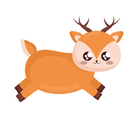 cute reindeer illustration