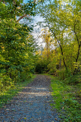 Fototapeta na wymiar Duncaster Park pathaway during the autumn, Burlington, Ontario, Canada