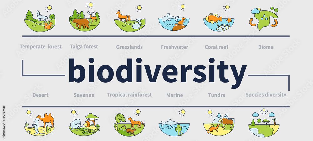 Wall mural biodiversity ecosystem vector infographics. consists of desert, grassland, tundra, freshwater, rainf - Wall murals