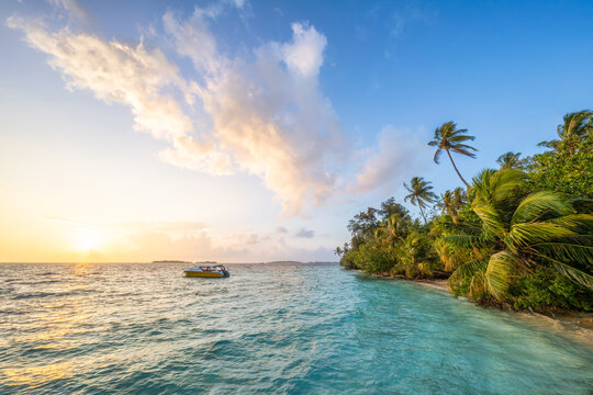 Sunset on a tropical island in the Maldives