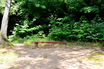 empty park bench in spring morning