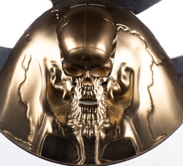 skull reflection in the mirror
