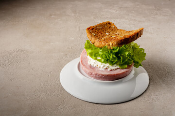 wrong sandwich with ham, cheese, lettuce, bread on an overturned plate, space for text