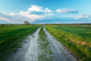 Fototapeta na wymiar Dirt road through green fields and clouds above the horizon
