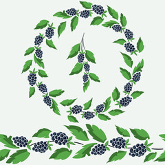 Vector set of round wreath with brackberries on foliate twig, seamless border with blackberries and berry foliate twig. Design elements for invitations, posters, banners, packaging, etc. - 490761810