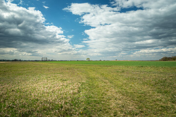 Path through a huge meadow and clouds to the sky