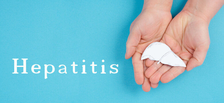 World hepatitis day, hands holding a liver, organ disease, health care - Powered by Adobe