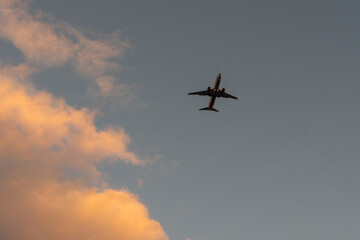 Airplane in the sky at sunrise or sunset