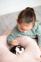 A cute girl strokes a newborn Boston Terrier puppy on her lap. Lifestyle. A child and a dog.