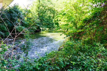 Fast flowing river in lush green woodland