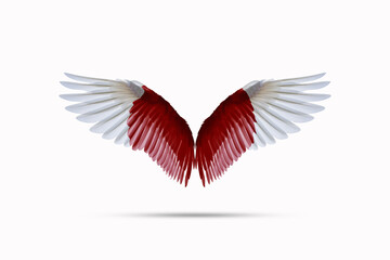 Japanese flag colored wings Isolated on white background, double exposure style. cutting path