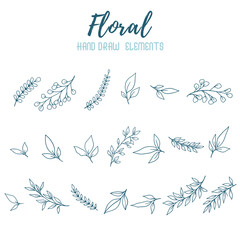 collection forest fern eucalyptus art foliage natural
leaves herbs in line style. Decorative beauty, elegant illustration 
for design: Vector flower Botanical