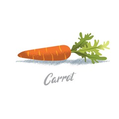 Carrots, organic vegetables, vegetarianism, vitamins in the garden vector illustration, vector particles