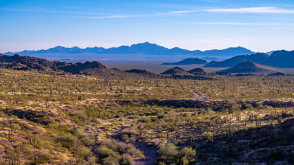 Organ Pipe Cactus National Monument, Arizona, America, USA.
