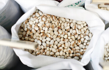 alubias blancas en mercado
