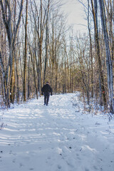A man walking on a snowy trail, after the first snow, in a wooded area