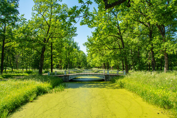 Chinese bridge over Krestovy Canal in Alexander Park on a sunny summer day in Tsarskoye Selo...