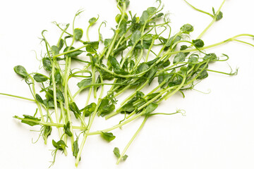 Pea sprouts on white background. Flat lay