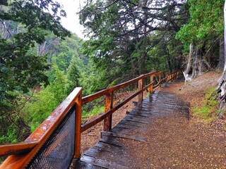 wooden bridge over the river