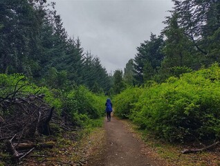 Obraz premium hiking in the woods