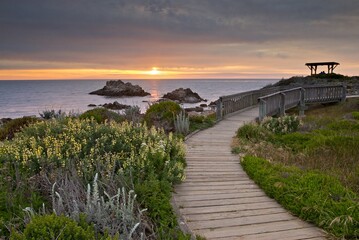 Fototapeta premium Boardwalk along Asilomar Dunes. Pacific Grove, CA.