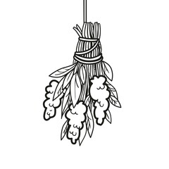 Alchemical ingredient bunch dried herbs outlined for coloring page on white background