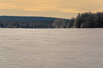Frosty morning. Field with snow and trees at dawn.