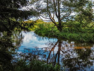 lake in the forest