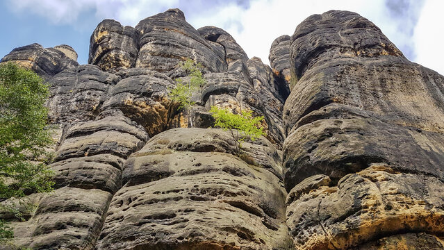 Steep sandstone wall at the Great Schrammtor rocks, Saxony, Germany
