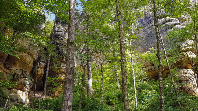 View of the Great Schrammtor rocks through trees, Saxony, Germany