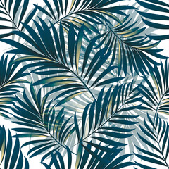 Palm. Seamless pattern with branches and leaves of tropical plants.Vector image. 