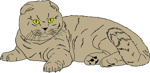 vector illustration. The cat on the couch. Cat on a scratching post. Cat. The cat is lying. Illustration.
