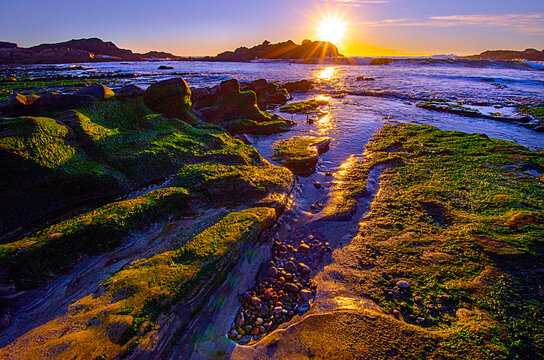 Weston Beach low tide 