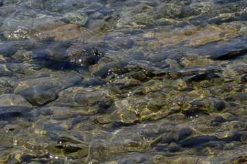 Lake water over rocks and pebbles