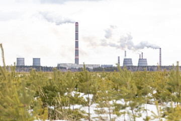 Fototapeta na wymiar Smoking city chimneys. Smoking factory against the background of small Christmas trees