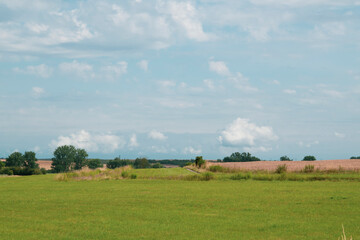 Fototapeta premium Ländliche Landschaft in der Magdeburger Börde bei Wanzleben