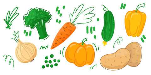 Vegetables bright doodle drawing 
 set. Hand drawn vector colorful  doodle vegetables like carrots, broccoli, pumpkin, bell peppers, peas, cucumber, potatoes etc.