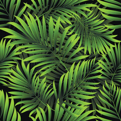 Obraz na płótnie Canvas Palm. Seamless pattern with branches and leaves of tropical plants.Vector image. 