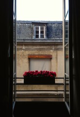 Paris window view and flowers in a flower box