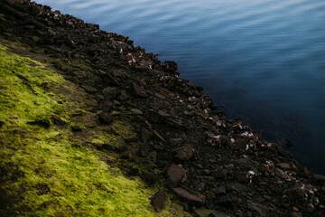 moss on the rocks