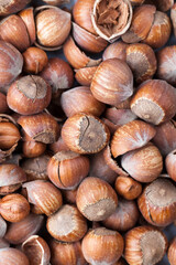 hazelnuts peeled from the shell