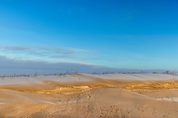 snow covered with a thick layer of dirt and dust in winter