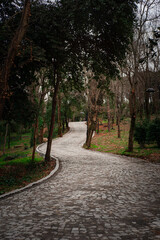 Obraz premium alley in the public park nature 